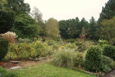 Stacks Image 1060